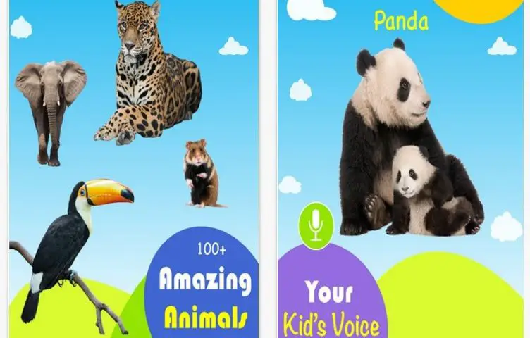 animal-app – Lhe.io