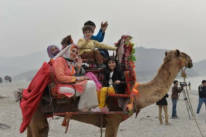 camel-ride